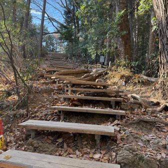 ココを上り切ると…