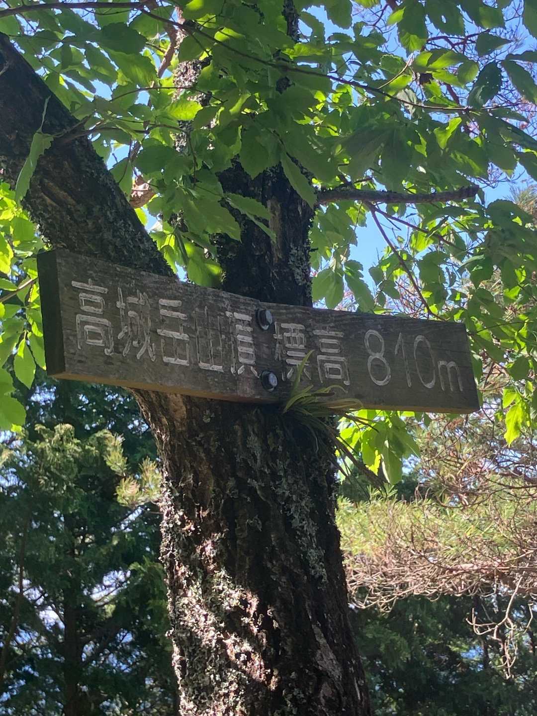 高城岳の山頂に到着しました💪