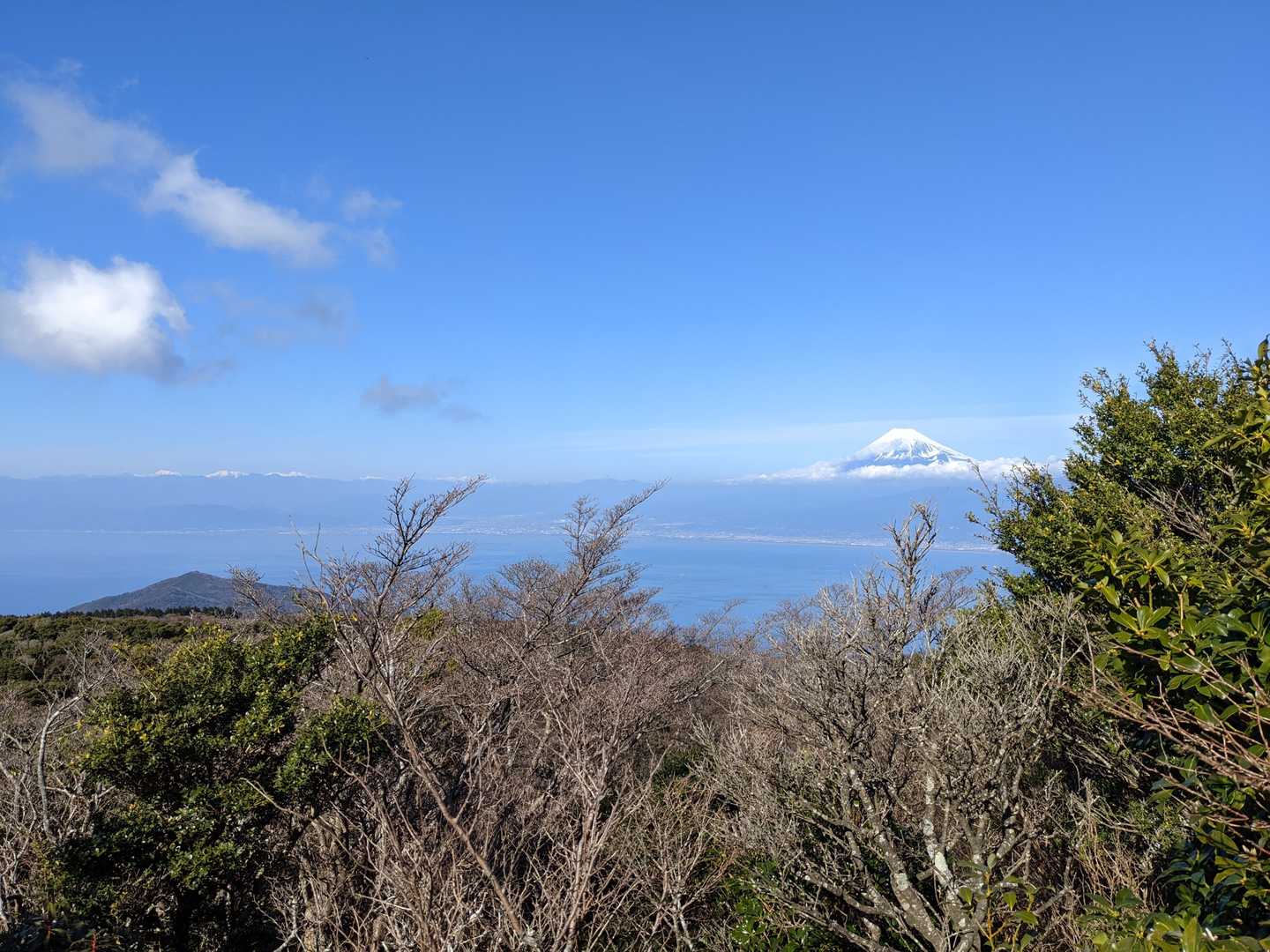 真城峠までの稜線は基本眺望ありません。が、たまーに視界が開けます。

だから当然、わぉ！となります😙