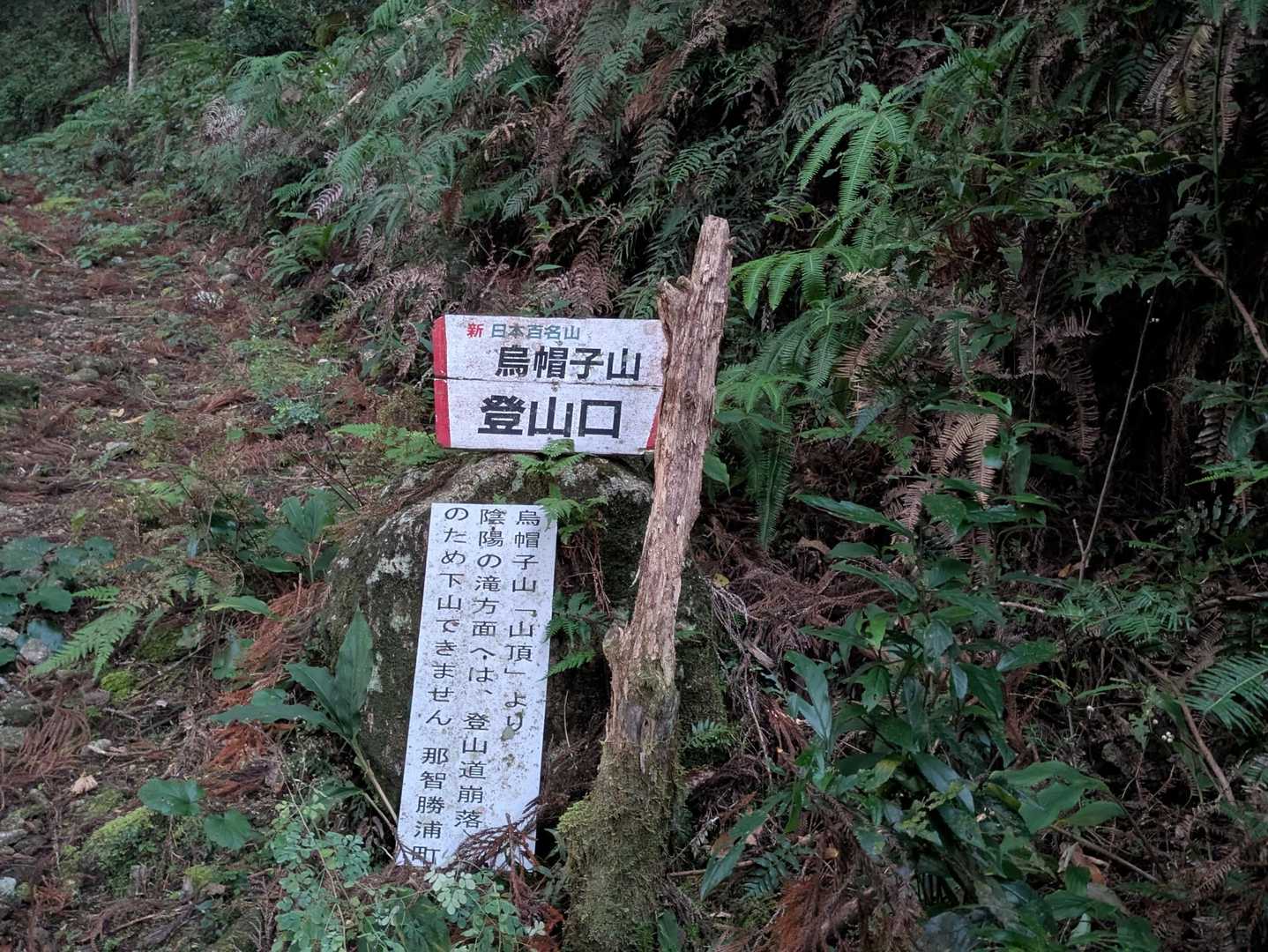 荒れた登山口
誰も歩く人は居ないのかな🤔