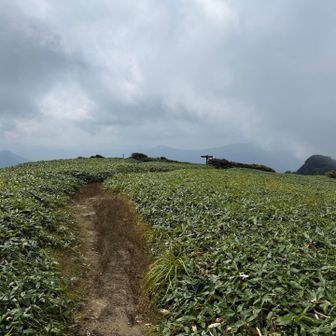 だいぶ山頂で待ったが雲は取れず　男山へ向かう