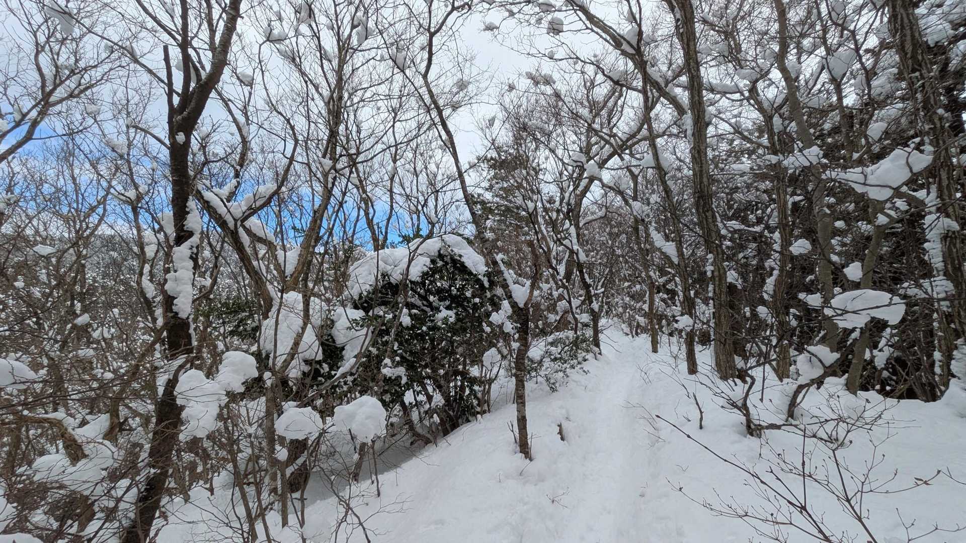 時々、青空😍