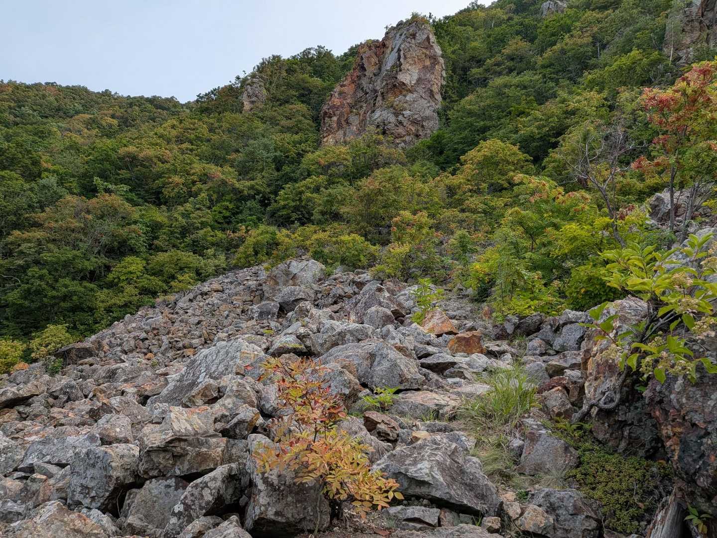 手稲山みたいなガレ地。
