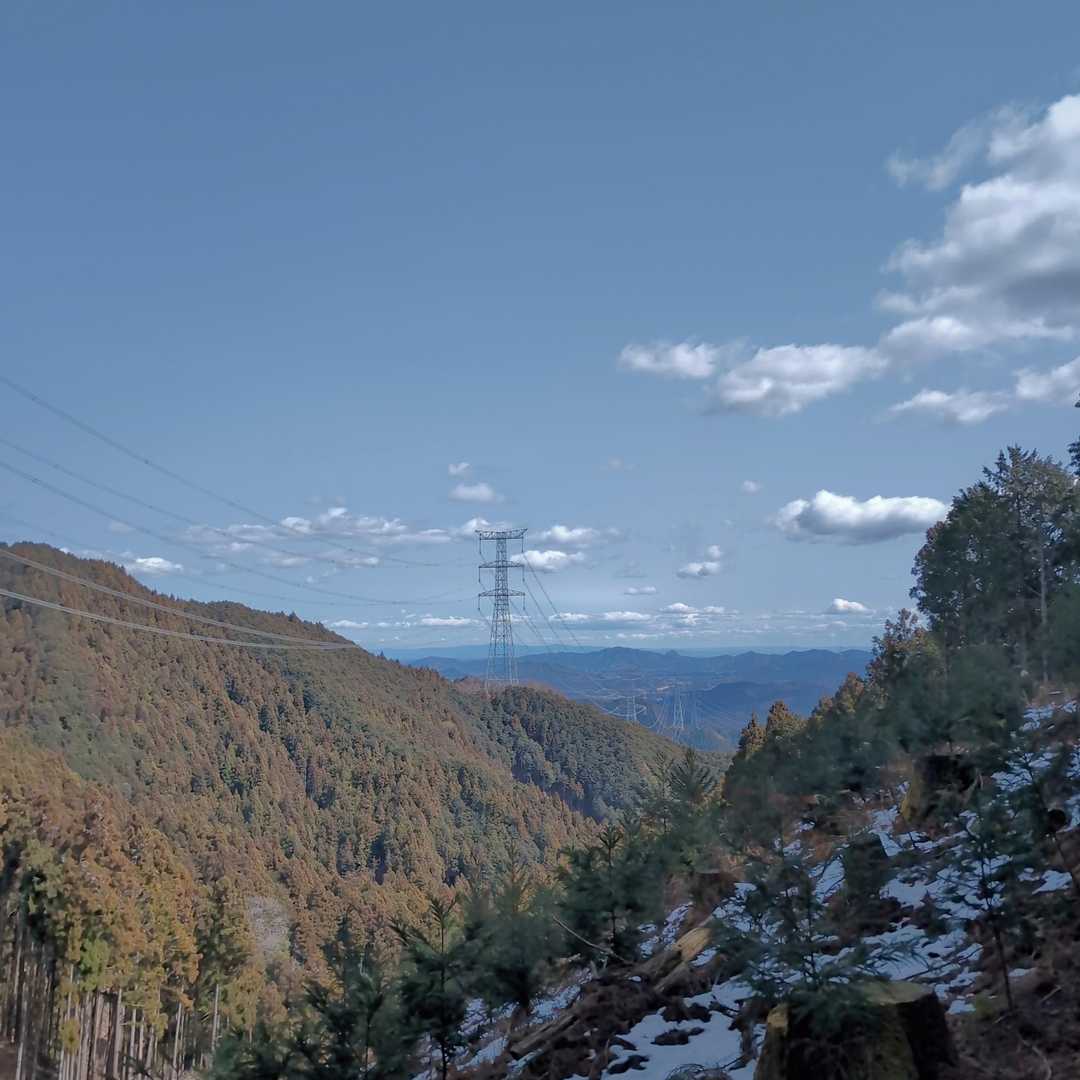 羽賀場山 往復コースの写真
