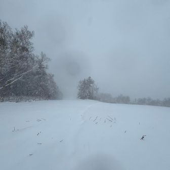 とにかく滑る事を目的として訪れているので、どんなコンディションでも楽しみます🏂
