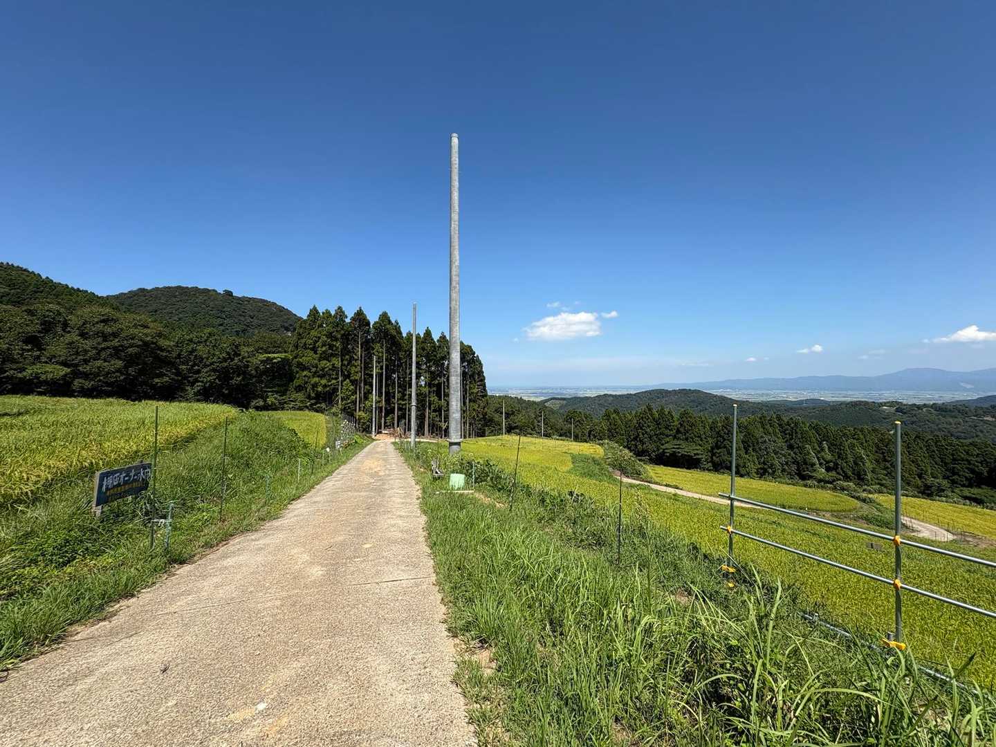 棚田に出る
いい景色🌾