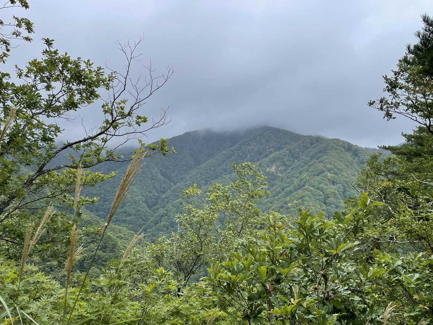 駒ヶ岳