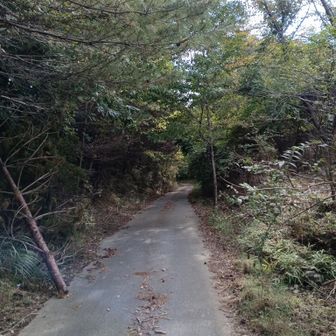 おりてきましたー
舗装路で駐車場まで戻る
