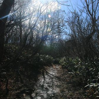 正午を過ぎると陰影が強くなるよね。眩しかった！！