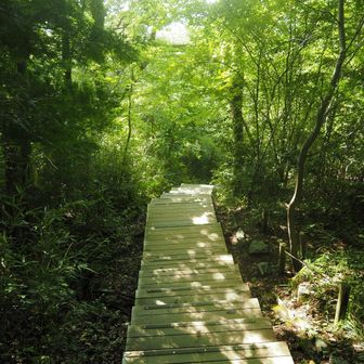 稲荷山ルートから下山します。