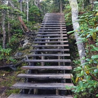 この階段たちが☔で濡れてて滑る