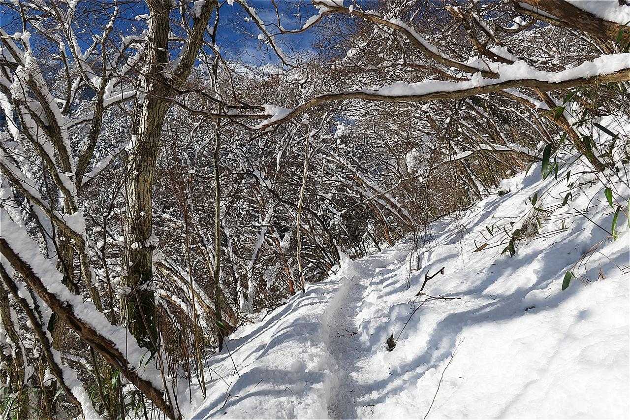 旧寒風山トンネル南口-伊予富士 往復コースの写真
