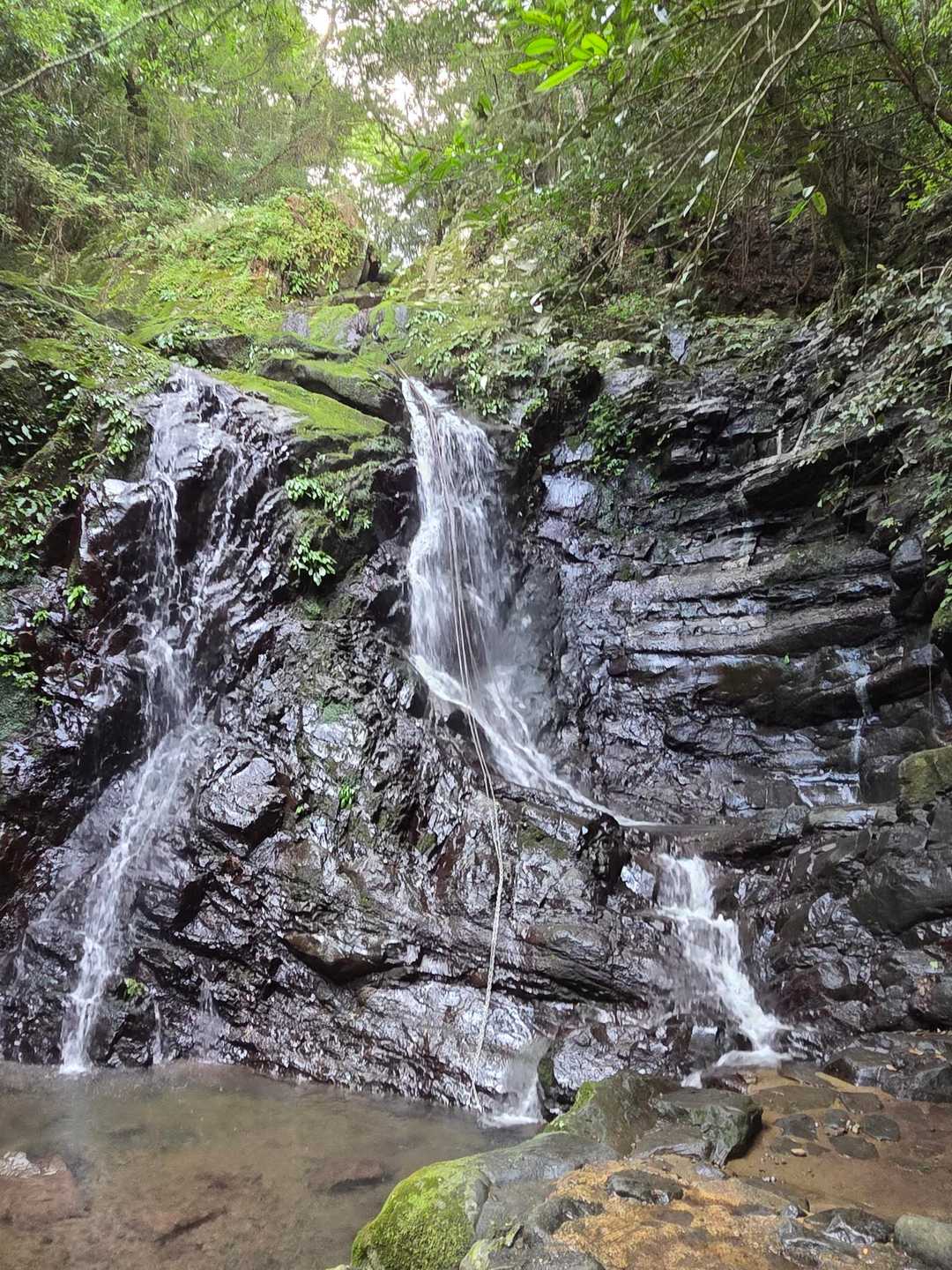 七宝龍寺本堂-経塚権現山登り口-経塚権現山 往復コースの写真
