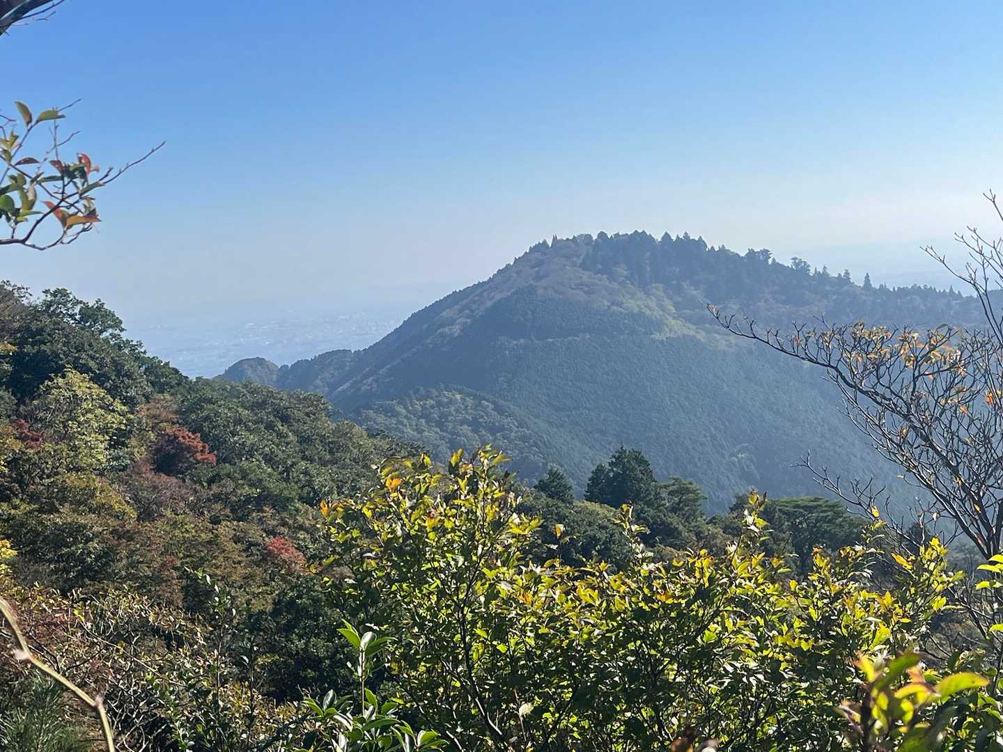 すぐ横に野登山