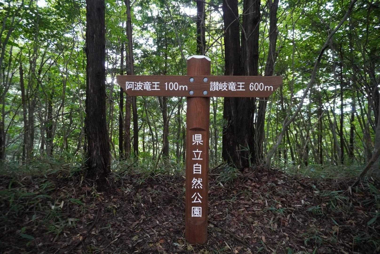 竜王山-竜王山 往復コースの写真
