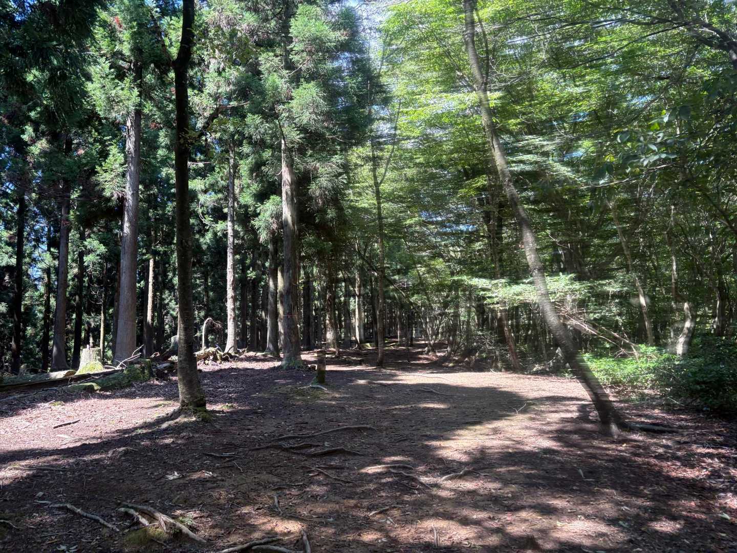 テレビで言ってたのは城郭跡の外にも兵士たちの野営地があったと言ってたからこの辺りもそうなのかも🤔