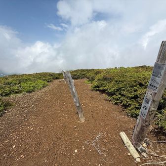 湯森山。結構歩いた