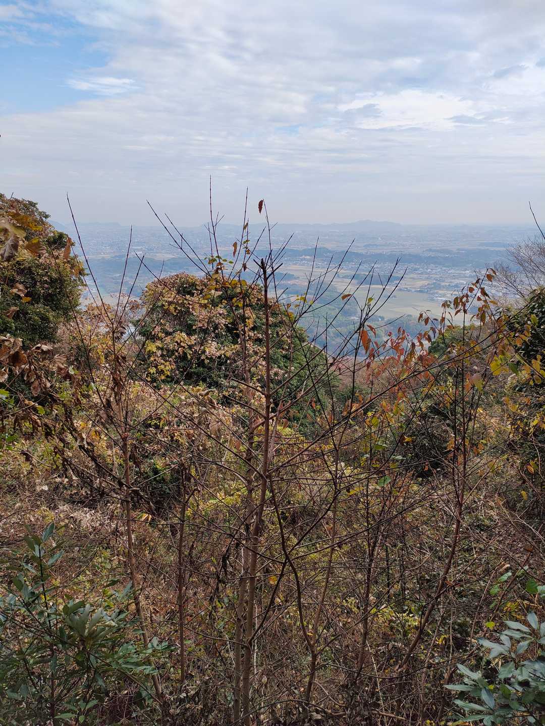 観音山（福岡県行橋市）の写真