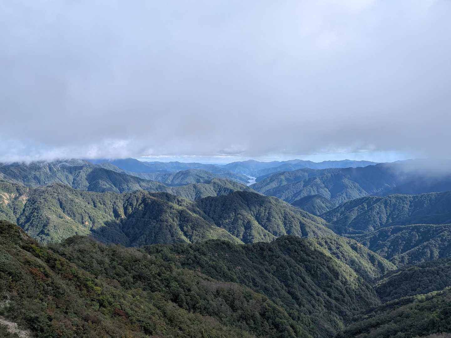 遠くに徳山ダムが見える。