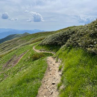 チョット先に白山権現奥の院