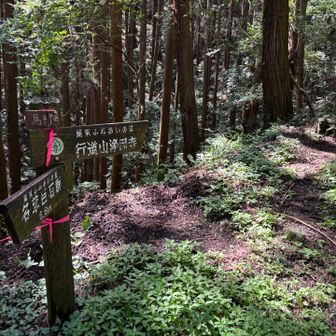 行道山方面へGO