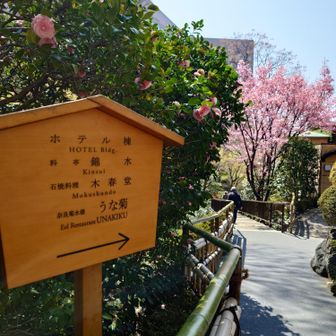 用も済み、庭園へ。