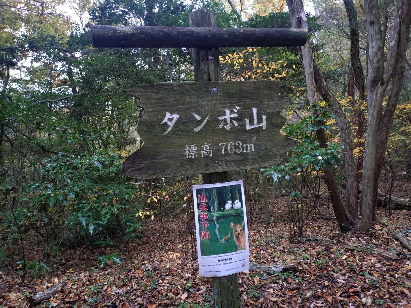 やっとタンボ山です
ディズニーのゾウさん ( ダンボ )と 
思っていました😅