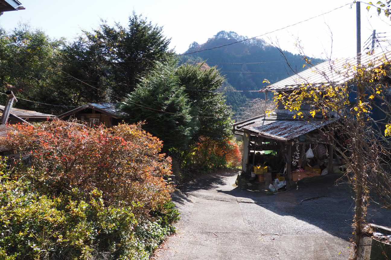 石尊山 往復コースの写真