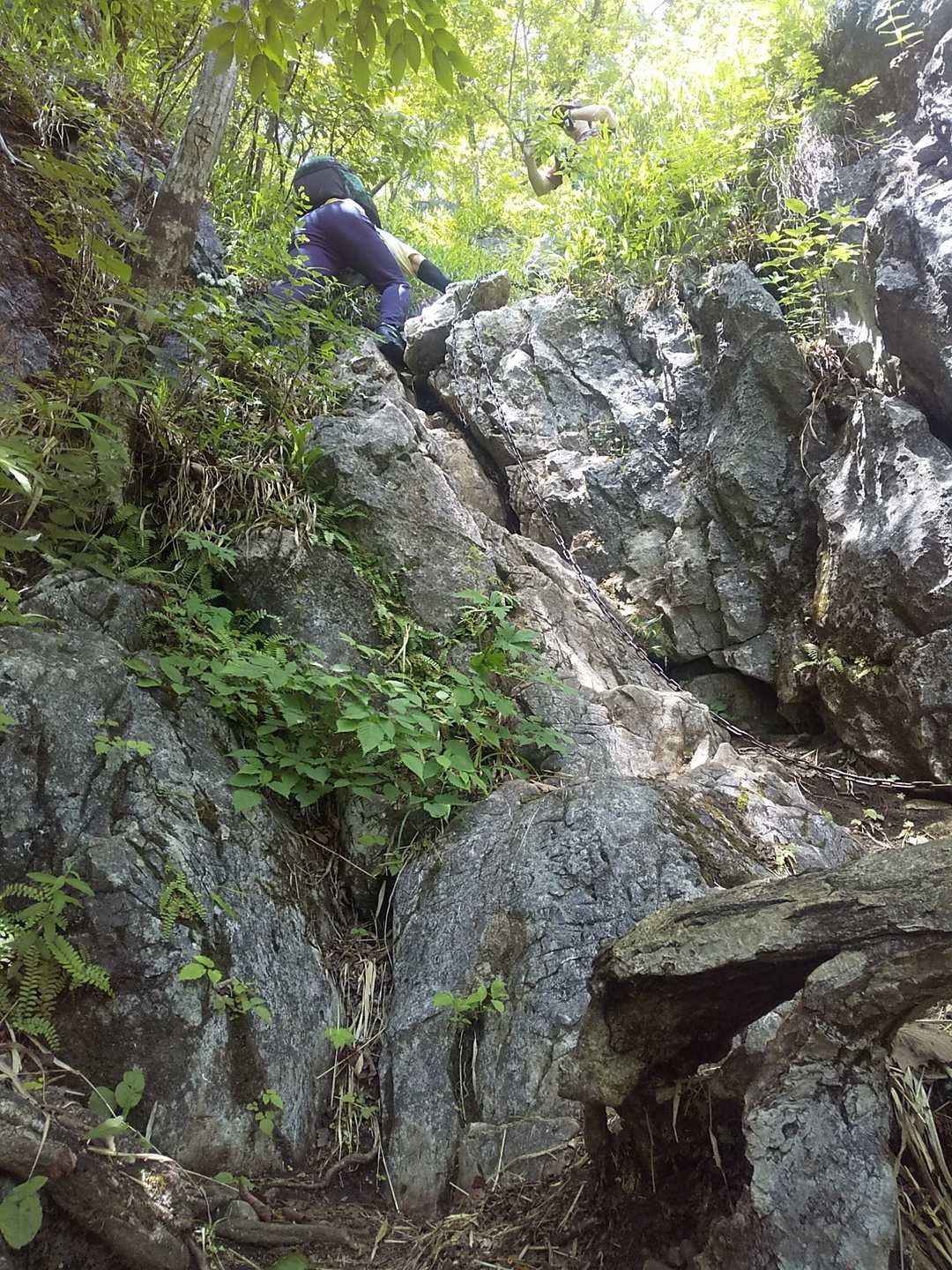 二子山登山口-股峠-二子山東岳-二子山西岳 往復コースの写真