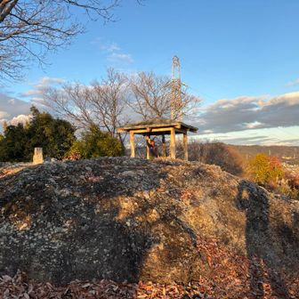 四阿でまったりおやつタイム🍪☕️
