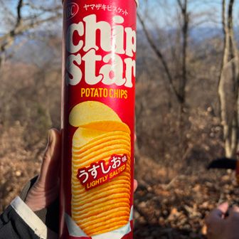 チップスター最高😀