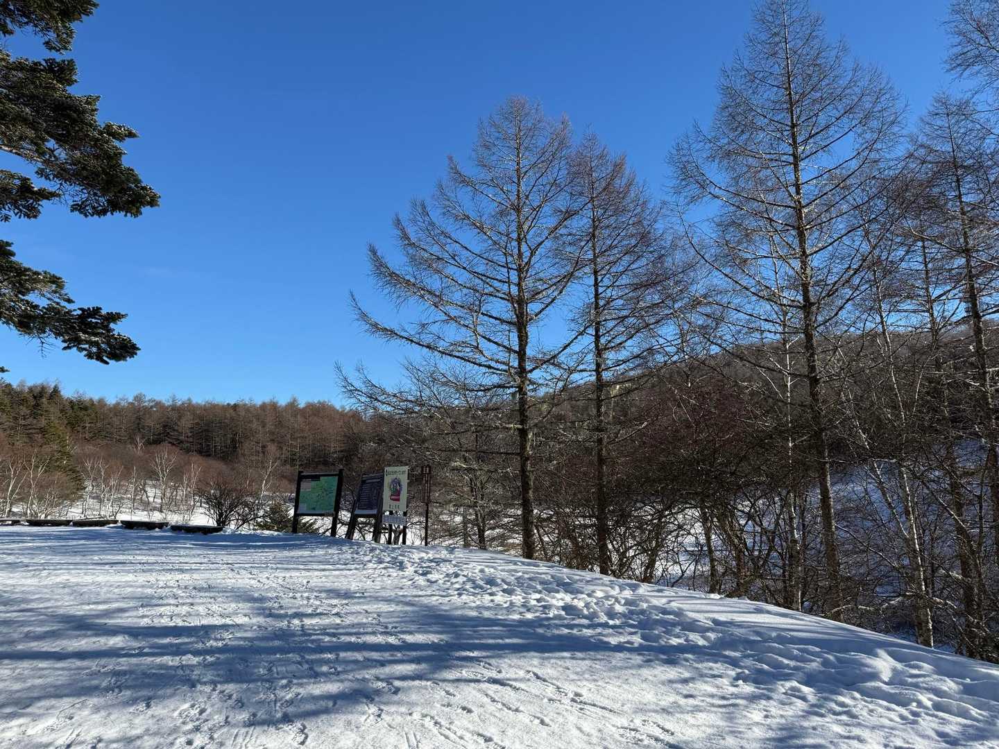 沢入登山口-入笠湿原-入笠山 往復コースの写真