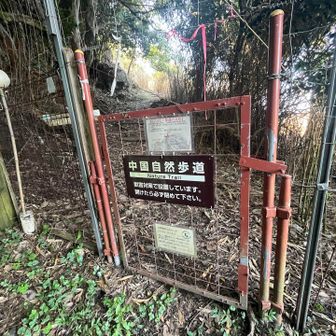 やっと出てきました。⛰️
なかなかしっかりした⛰️歩きでした🚶‍♀️
ここはリピートはなしかなぁ😅