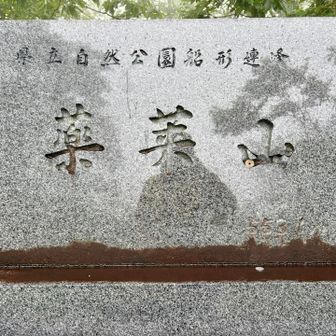 薬莱山、頂上です🗻