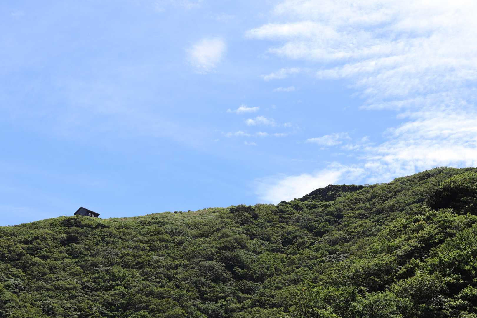 何度来ても楽しいルート
弥山に登られた方はぜひこちらへも