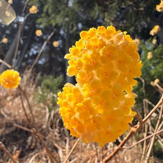 きゃわいい〜😍✨✨

1人るんるんで撮りまくる🎵