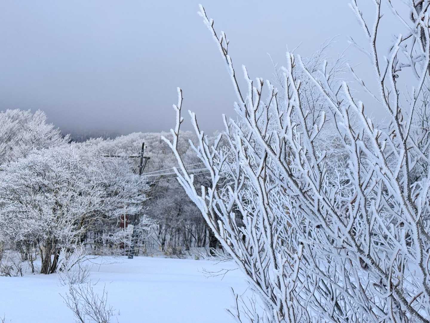横向登山口 往復コースの写真