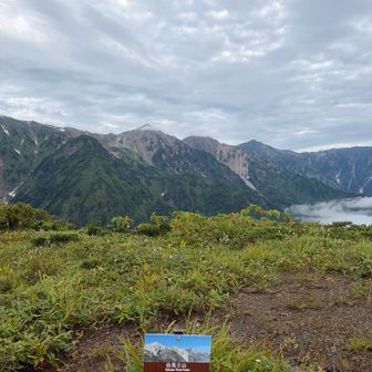 左から白馬鑓ヶ岳、杓子岳、白馬岳