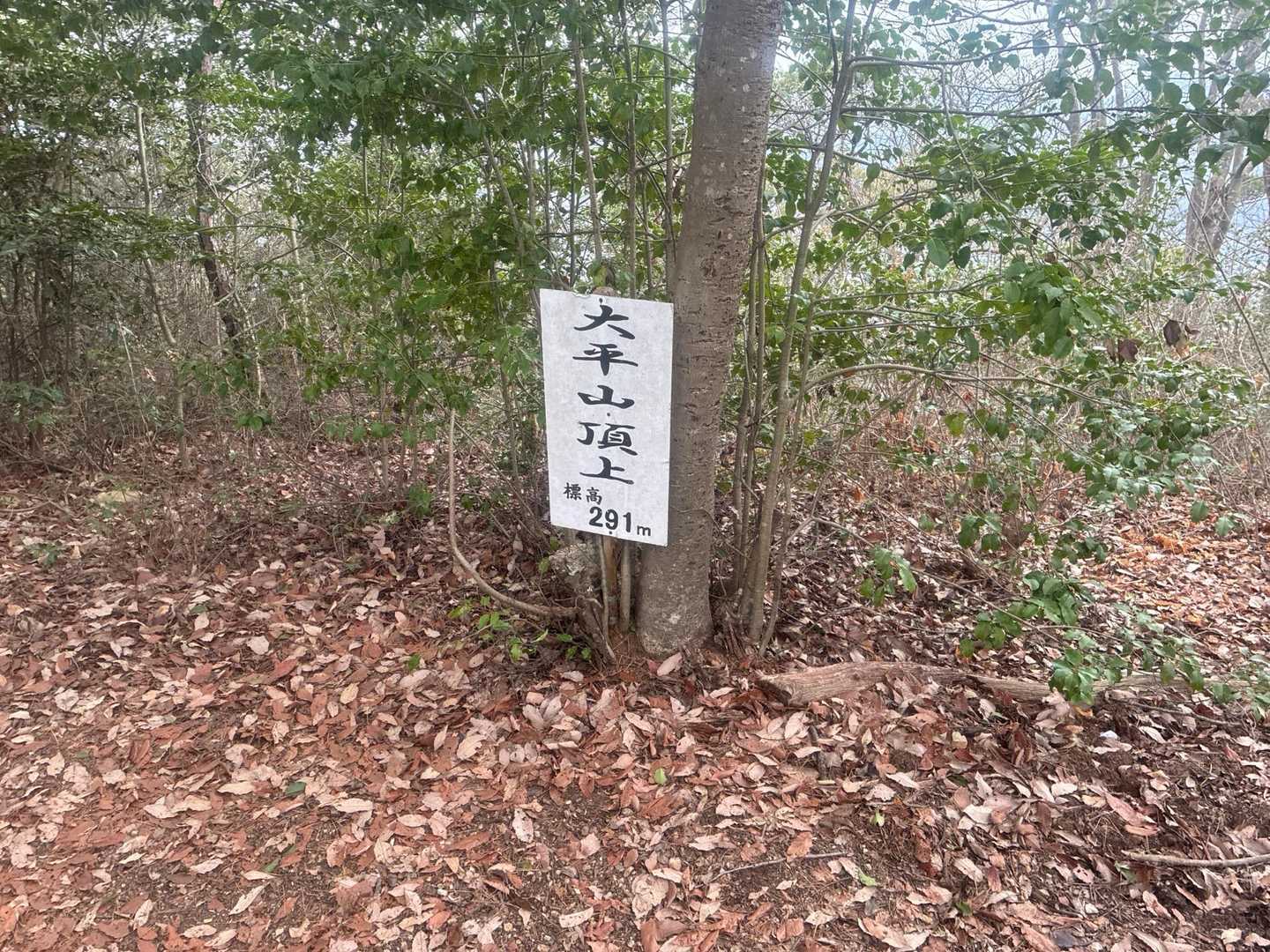 鳩吹山遊歩道真禅寺入口-鳩吹山-両見山-桃山-桃山ルート入 周回コースの写真