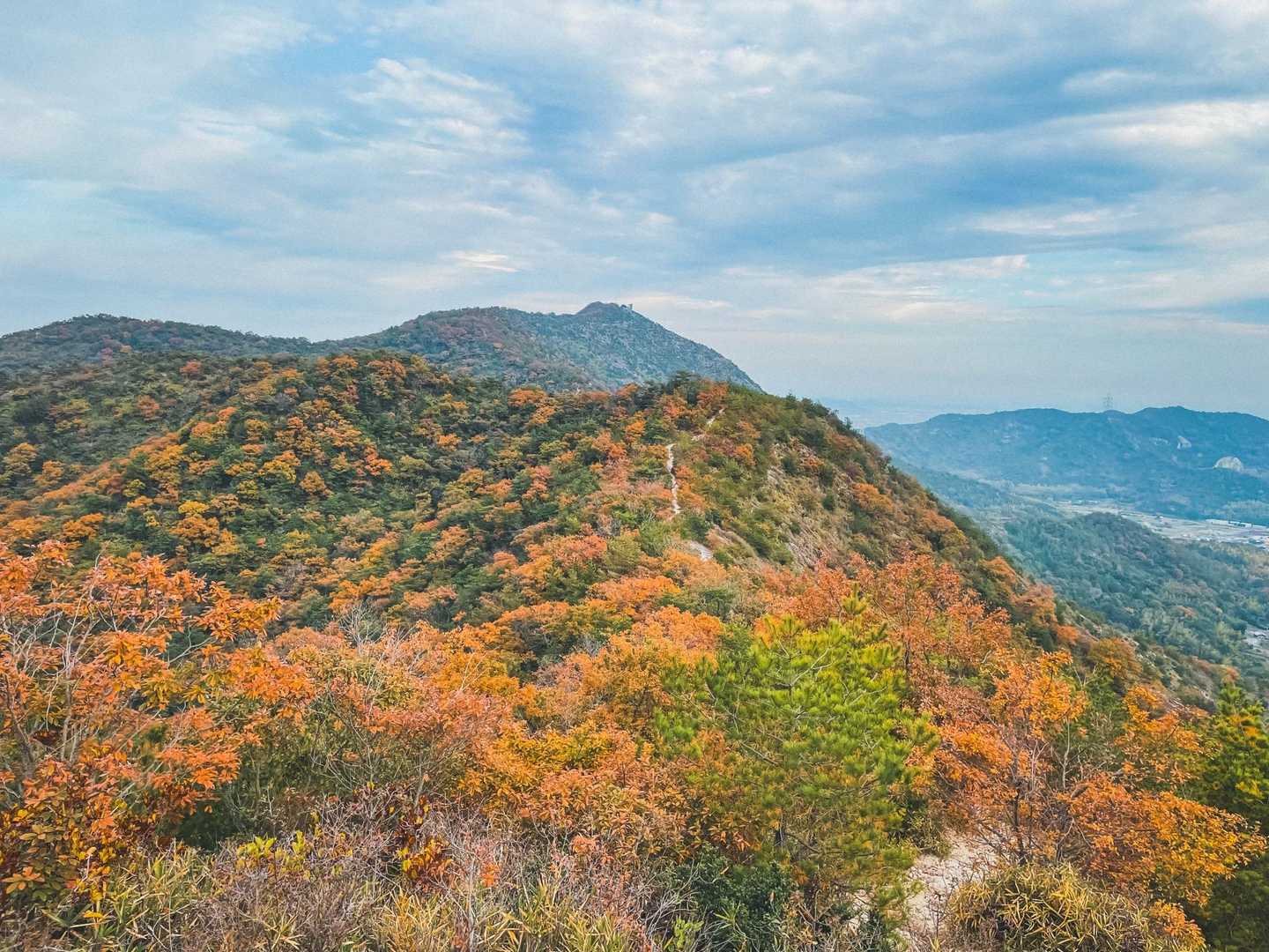 紅に染まる高御位山2でぃス(ง ˆ̑‵̮ˆ̑　)ว