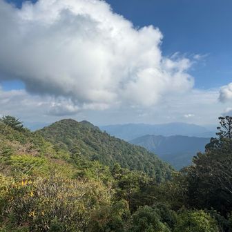 山頂からの眺望はこの方角のみです。すぐそこに見えてる山は宝冠の森というピークで案内板も出ていましたが、YAMAPでは点線の山道になっていたので行くのはやめました