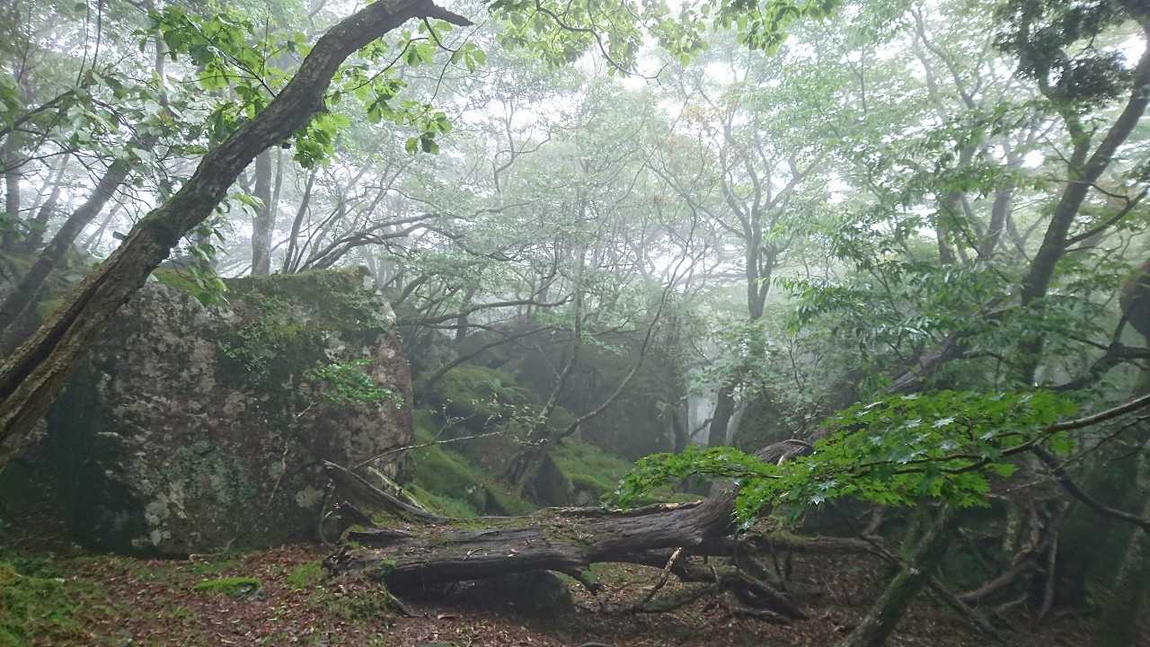 幻想的です