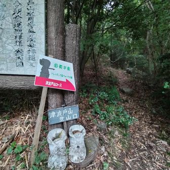 ここが登山道入口
