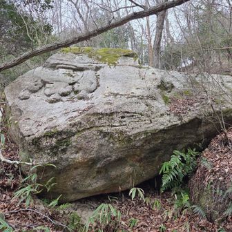 さかさ観音　逆さになったわけは奈良時代から平安時代にかけて 奈良の仏教寺院に納入する樹木が伐採されたこととオランダ堰堤に関係があるようです。
