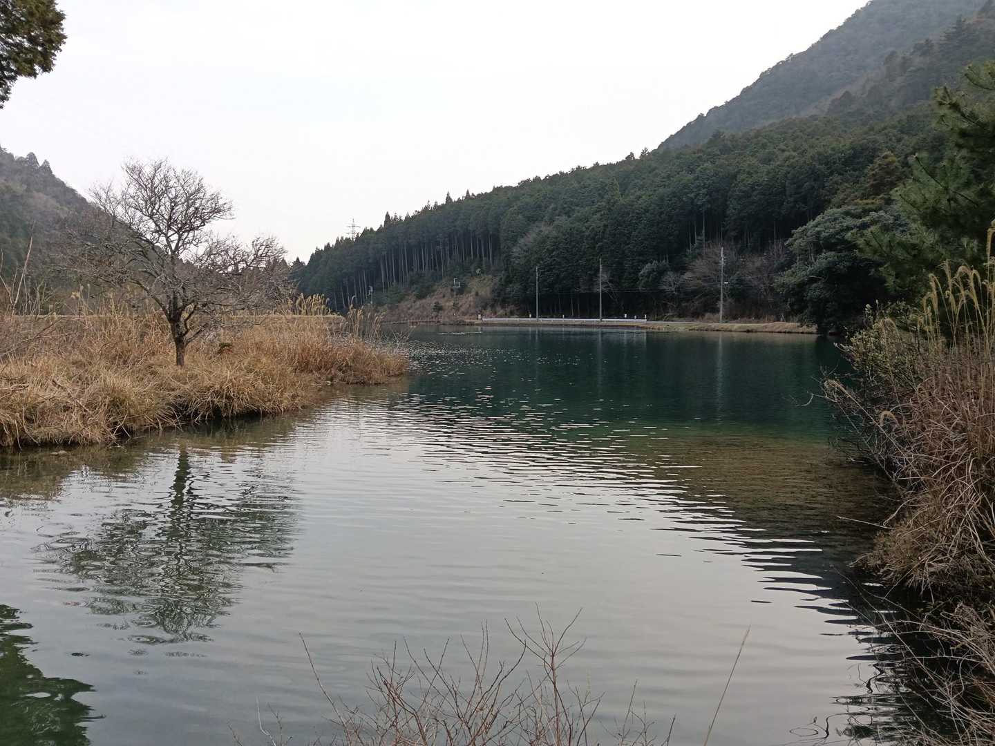 田口奥池。
水が透き通って綺麗な池でした。