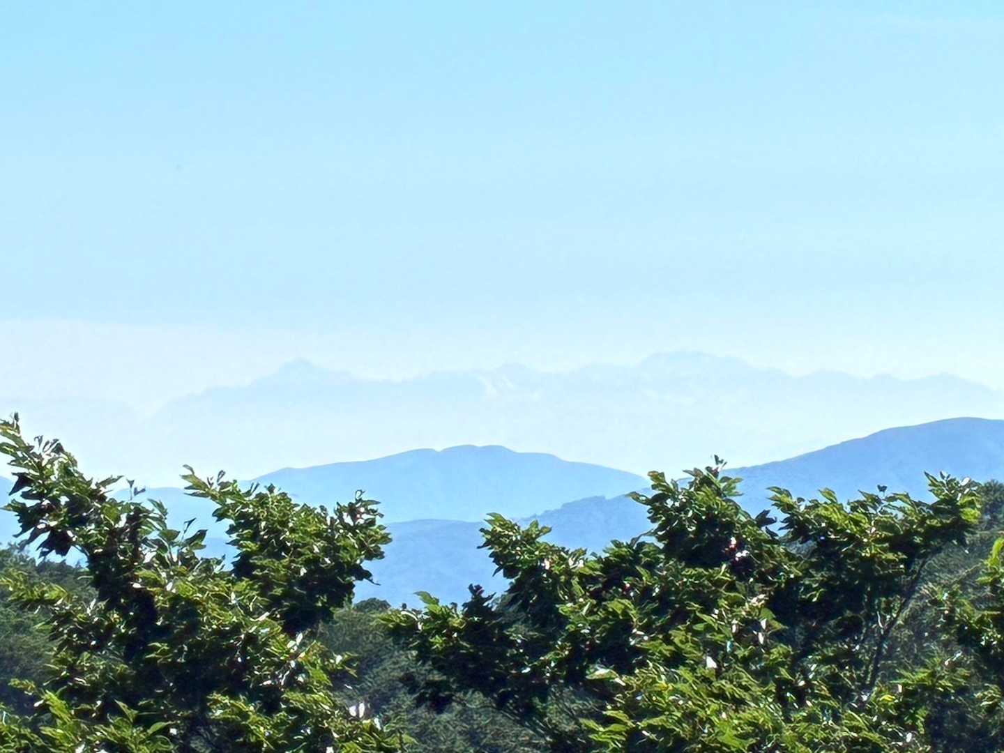 遠くにうっすら剱立山