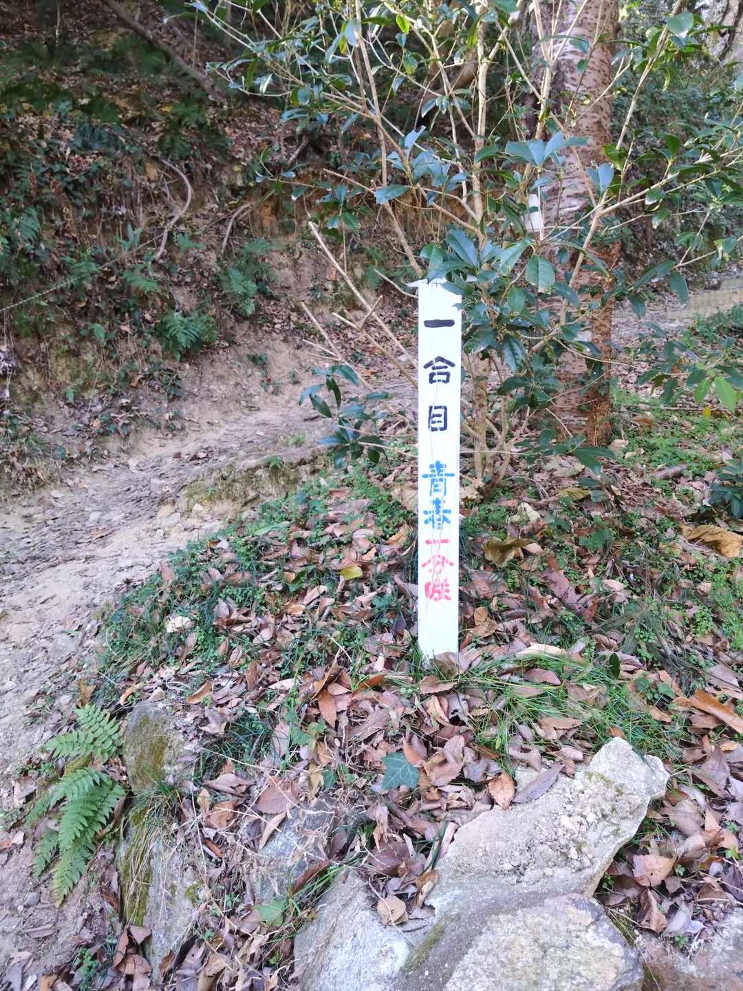 300メートルの低山なので直ぐ山頂です。