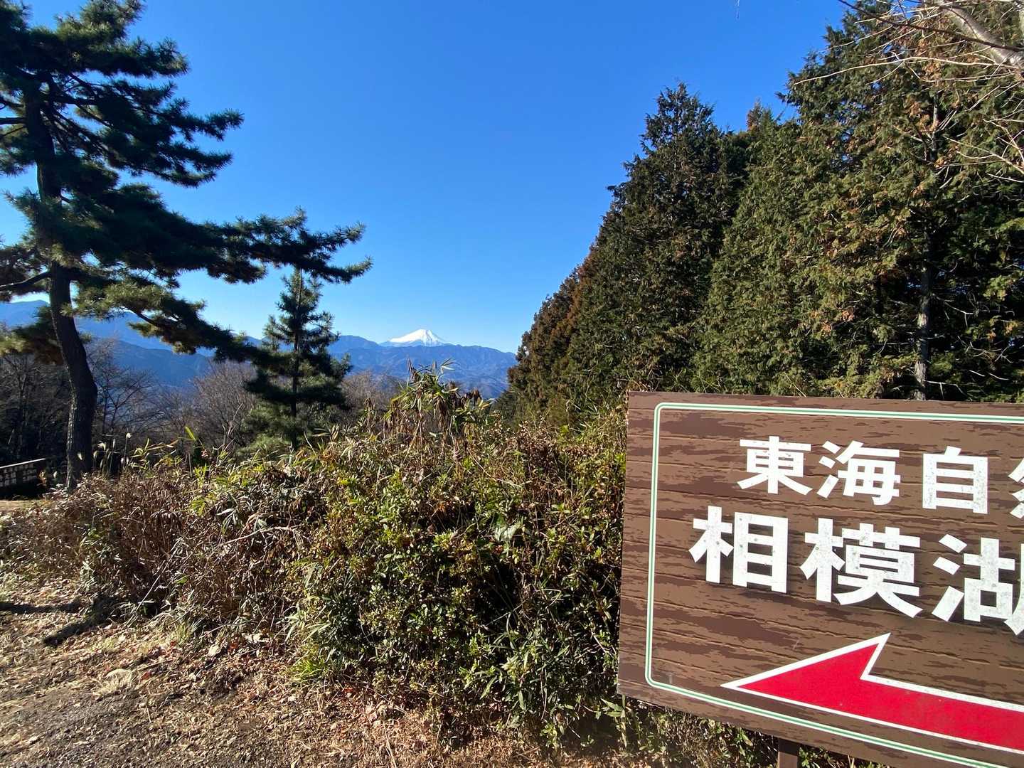 城山