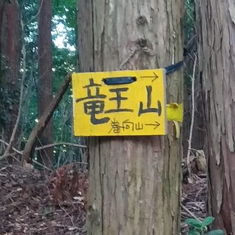 反対方向の初瀬山へ