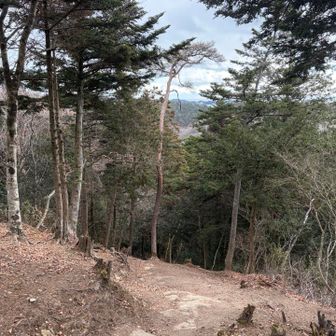 慎重におりている途中で振り返ると